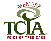 TCIA Voice of tree care logo